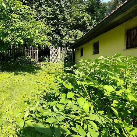Apartman Lucie Liběchov Kültér fotó